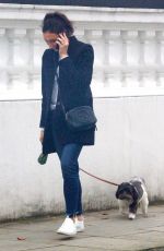 CHRISTINE BRINKLEY Out wuth Her Dog in West London 12/27/2019