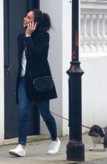CHRISTINE BRINKLEY Out wuth Her Dog in West London 12/27/2019