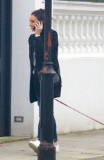 CHRISTINE BRINKLEY Out wuth Her Dog in West London 12/27/2019