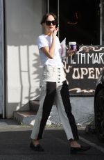 DAKOTA JOHNSON Out and About in Los Angeles 01/30/2020