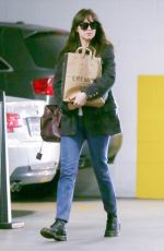 DAKOTA JOHNSON Out Shopping in Los Angeles 01/21/2020