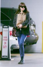DAKOTA JOHNSON Out Shopping in Los Angeles 01/21/2020
