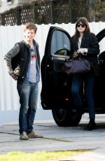DAKOTA JOHNSON Out Shopping in Los Angeles 01/21/2020