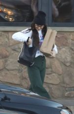 DAKOTA JOHNSON Shopping Groceries in Malibu 01/13/2020