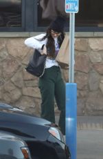 DAKOTA JOHNSON Shopping Groceries in Malibu 01/13/2020