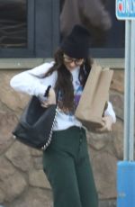 DAKOTA JOHNSON Shopping Groceries in Malibu 01/13/2020