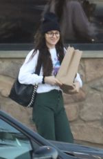 DAKOTA JOHNSON Shopping Groceries in Malibu 01/13/2020