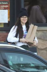 DAKOTA JOHNSON Shopping Groceries in Malibu 01/13/2020