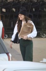 DAKOTA JOHNSON Shopping Groceries in Malibu 01/13/2020