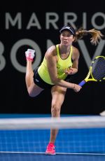 DANIELLE COLLINS at 2020 Brisbane International WTA Premier Tennis Tournament 01/06/2020