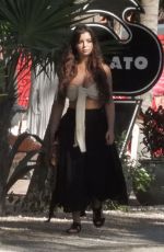 DEMI ROSE MAWBY Out in Tulum 01/06/2020