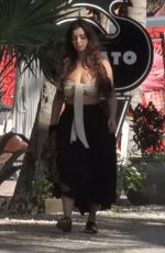 DEMI ROSE MAWBY Out in Tulum 01/06/2020