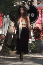 DEMI ROSE MAWBY Out in Tulum 01/06/2020