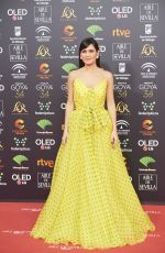 ELENA SANCHEZ at 34th Goya Cinema Awards 2020 in Madrid 01/25/2020