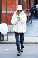 ELSA HOSK Out and About in New York 01/27/2020