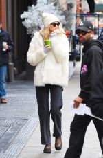 ELSA HOSK Out and About in New York 01/27/2020