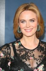 EMILY DESCHANEL at Apple