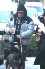 EMILY RATAJKOWSKI and Sebastian Bear McClard Out with Their Dog in New York 01/21/2020