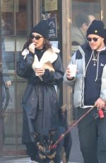 EMILY RATAJKOWSKI and Sebastian Bear McClard Out with Their Dog in New York 01/21/2020