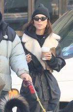 EMILY RATAJKOWSKI and Sebastian Bear McClard Out with Their Dog in New York 01/21/2020