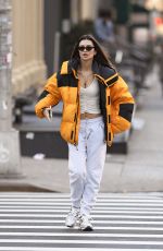 EMILY RATAJKOWSKI Out and About in New York 01/02/2020