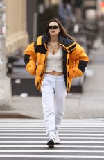 EMILY RATAJKOWSKI Out and About in New York 01/02/2020