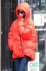 EMILY RATAJKOWSKI Out and About in New York 01/23/2020