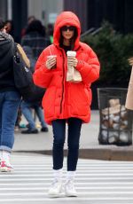 EMILY RATAJKOWSKI Out and About in New York 01/23/2020