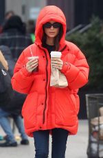 EMILY RATAJKOWSKI Out and About in New York 01/23/2020