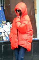 EMILY RATAJKOWSKI Out and About in New York 01/23/2020