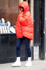 EMILY RATAJKOWSKI Out and About in New York 01/23/2020