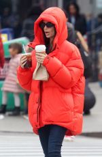 EMILY RATAJKOWSKI Out and About in New York 01/23/2020
