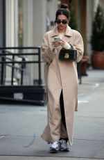 EMILY RATAJKOWSKI Out and About in New York 01/30/2020