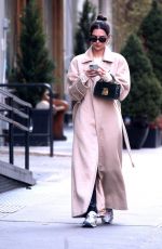 EMILY RATAJKOWSKI Out and About in New York 01/30/2020