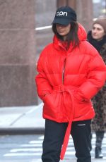 EMILY RATAJKOWSKI Out for Lunch in New York 01/20/2020