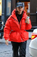 EMILY RATAJKOWSKI Out for Lunch in New York 01/20/2020