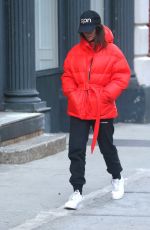 EMILY RATAJKOWSKI Out for Lunch in New York 01/20/2020