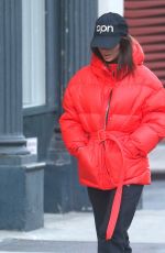 EMILY RATAJKOWSKI Out for Lunch in New York 01/20/2020