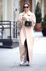 EMILY RATAJKOWSKI Out in New York 01/30/2020