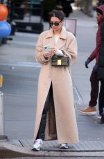 EMILY RATAJKOWSKI Out in New York 01/30/2020