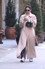 EMILY RATAJKOWSKI Out in New York 01/30/2020