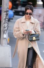 EMILY RATAJKOWSKI Out in New York 01/30/2020