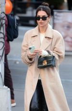 EMILY RATAJKOWSKI Out in New York 01/30/2020