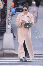EMILY RATAJKOWSKI Out in New York 01/30/2020
