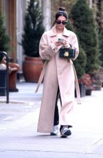 EMILY RATAJKOWSKI Out in New York 01/30/2020