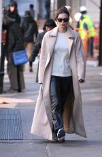 EMILY RATAJKOWSKI Out in New York 01/30/2020