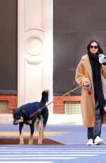EMILY RATAJKOWSKI Out with Colombo in New York 01/29/2020