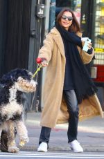 EMILY RATAJKOWSKI Out with Colombo in New York 01/29/2020