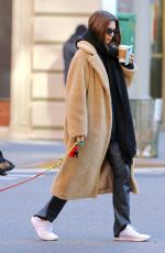 EMILY RATAJKOWSKI Out with Colombo in New York 01/29/2020