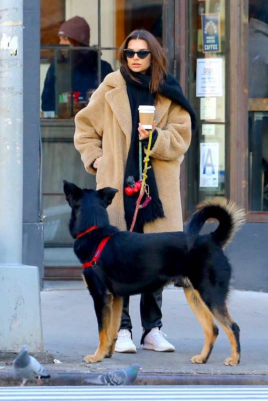 EMILY RATAJKOWSKI Out with Colombo in New York 01/29/2020
